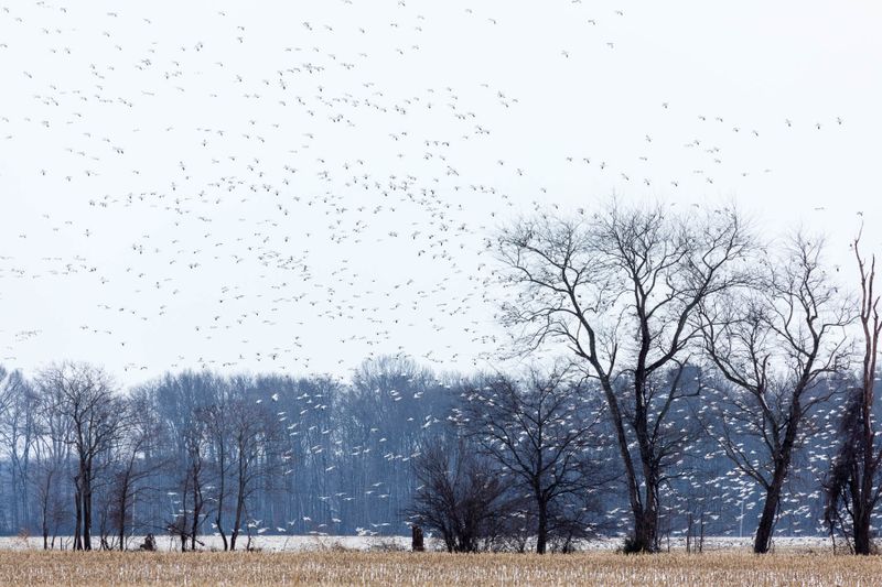 Overlooking Seasonal Changes