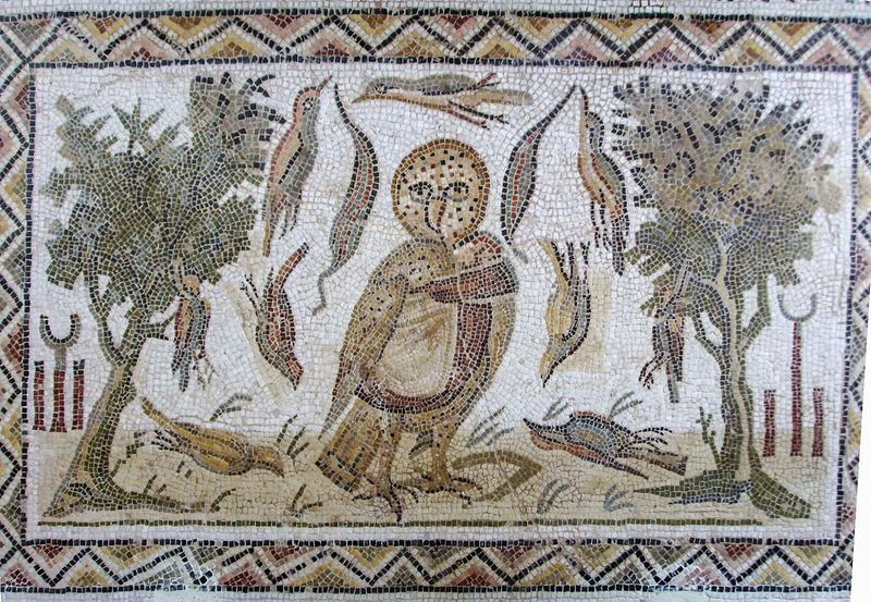 Owls and Death