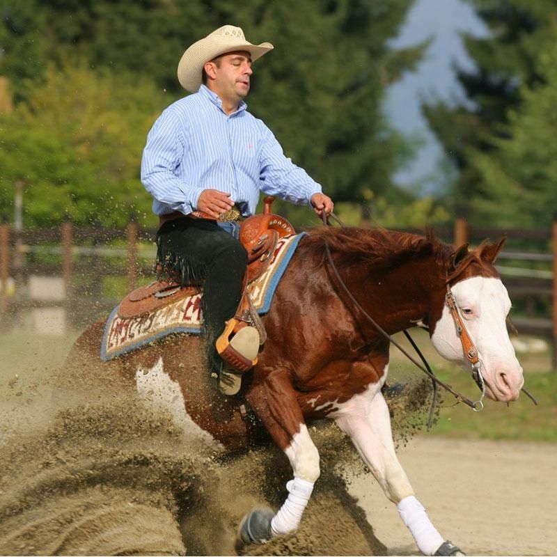 Paint Horse