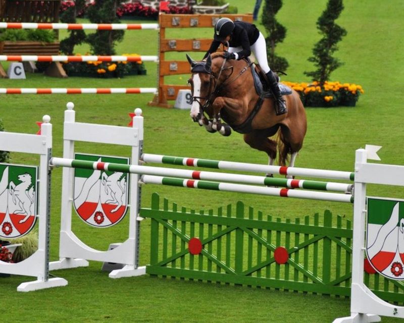 Palloubet d'Halong