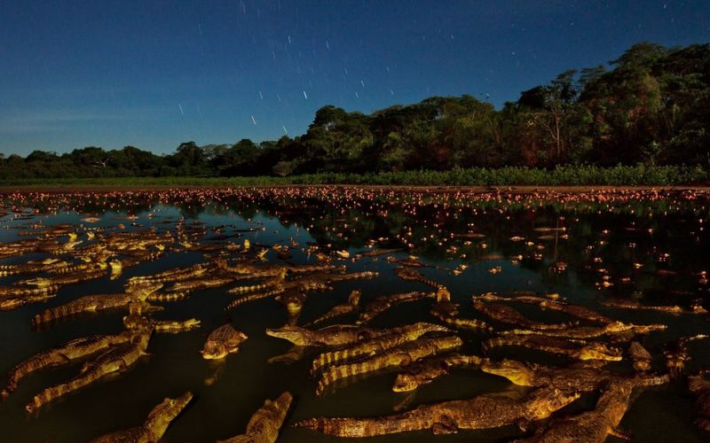 Pantanal, Brazil