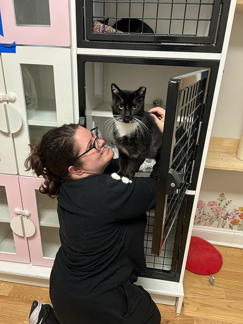 Participating in Cat Rescue