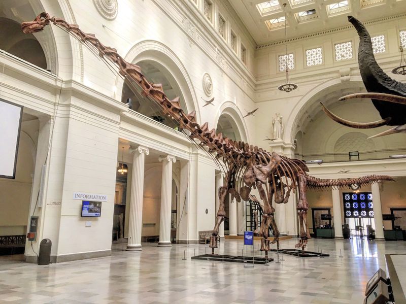 Patagotitan