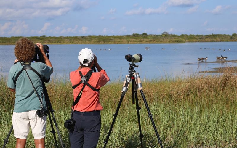 Pea Island National Wildlife Refuge, North Carolina