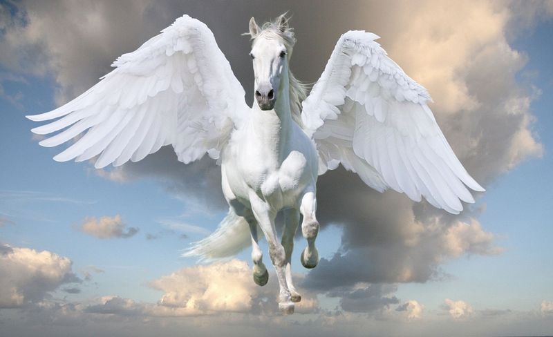 Pegasus