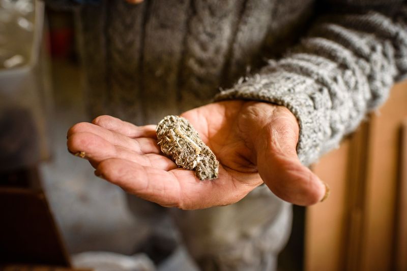 Pellet Production