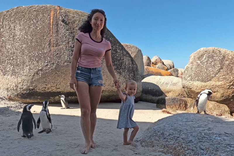 Penguins in Cape Town