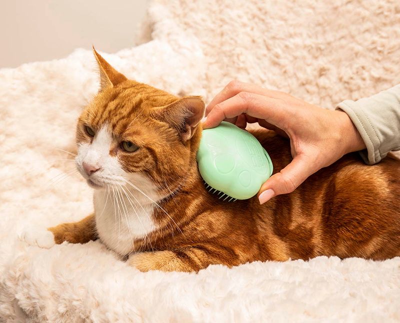 Perfect Sign: Low Maintenance Grooming