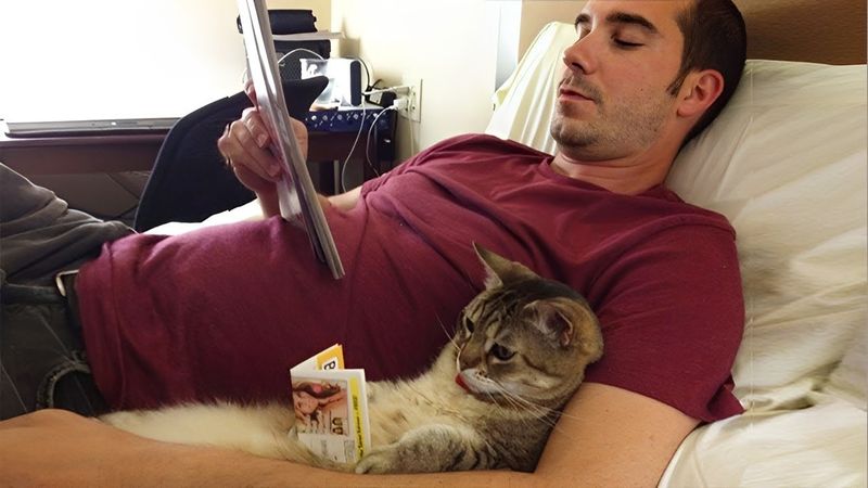 Perfect Sign: Strong Bond with Humans