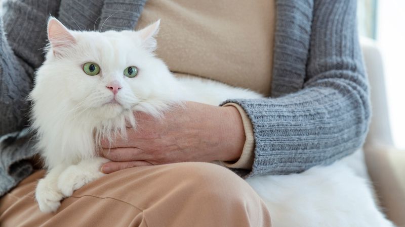 Persian
