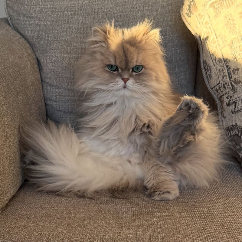 Persian