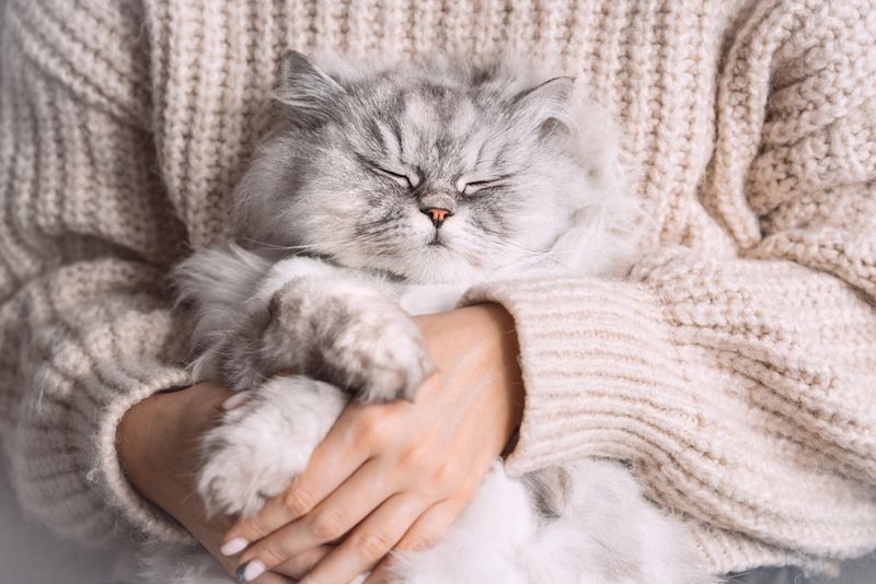 Persian