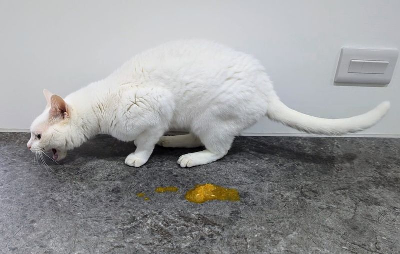 Persistent Vomiting