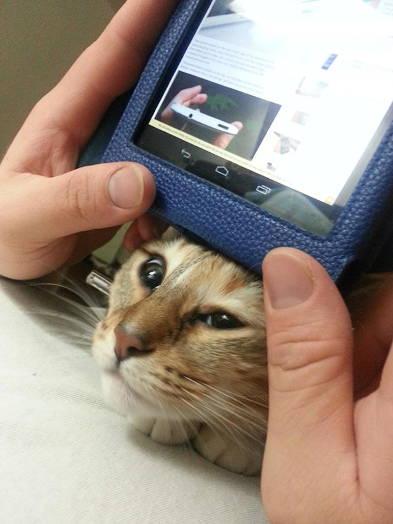 Personal Space Invader
