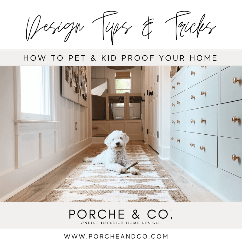 Pet Proofing Your Home