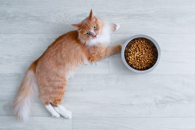 Picky Eating Habits