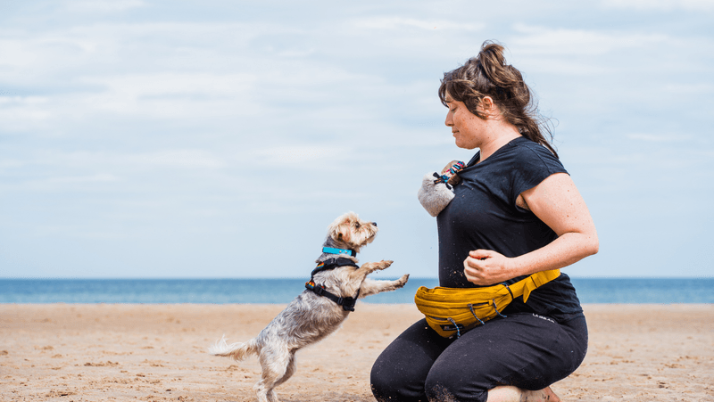 Playful Energy Boosts