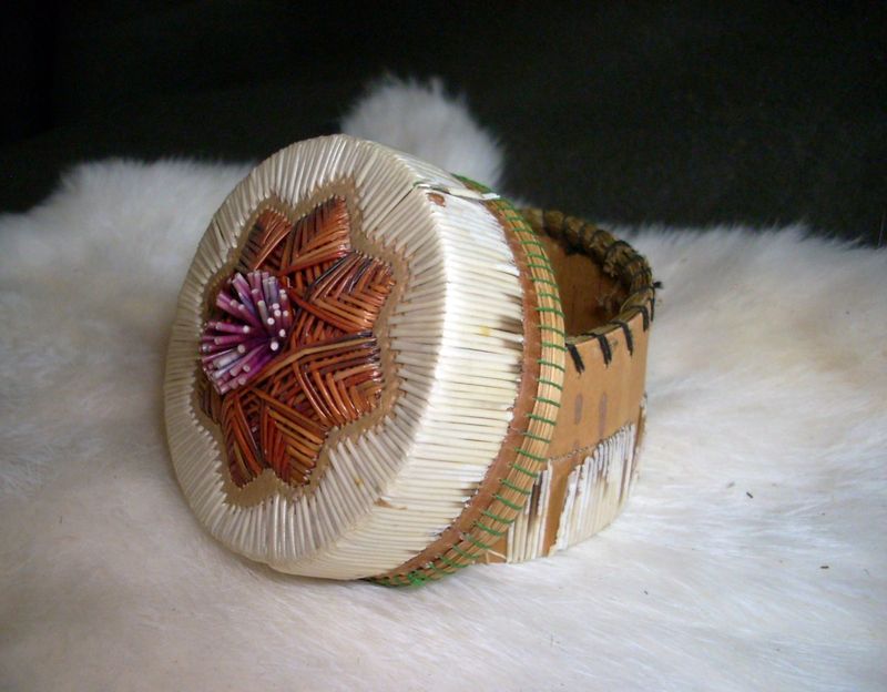 Porcupine Quills: Art and Function