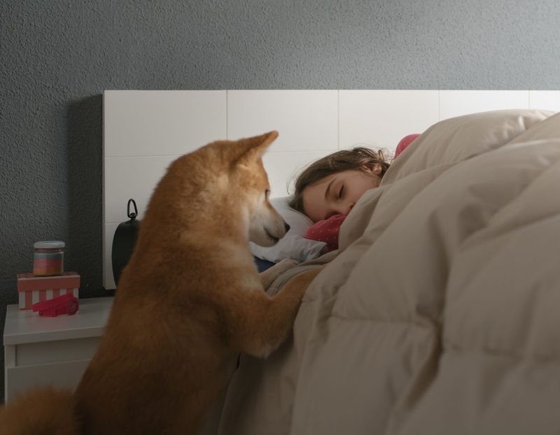 Preference for Sleep