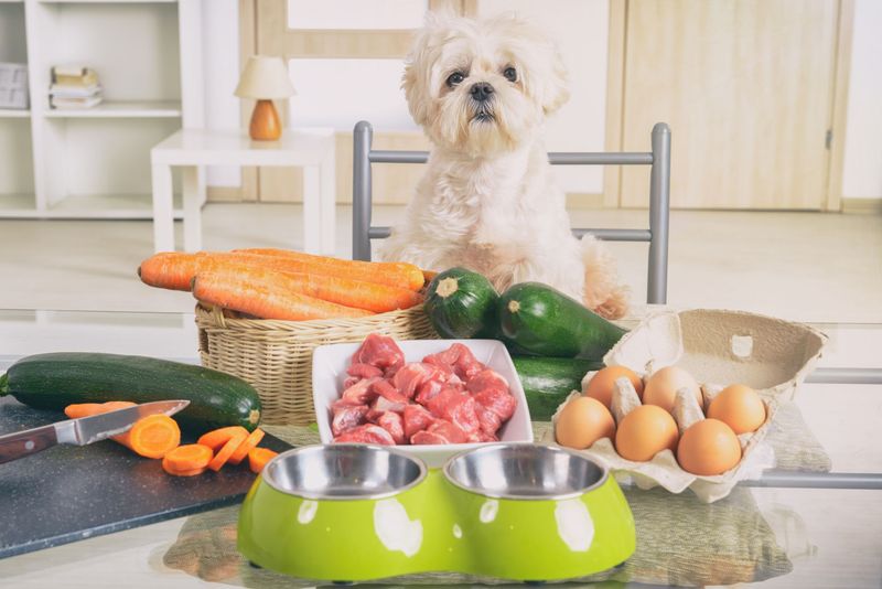 Prepare Your Dog's Diet Plan