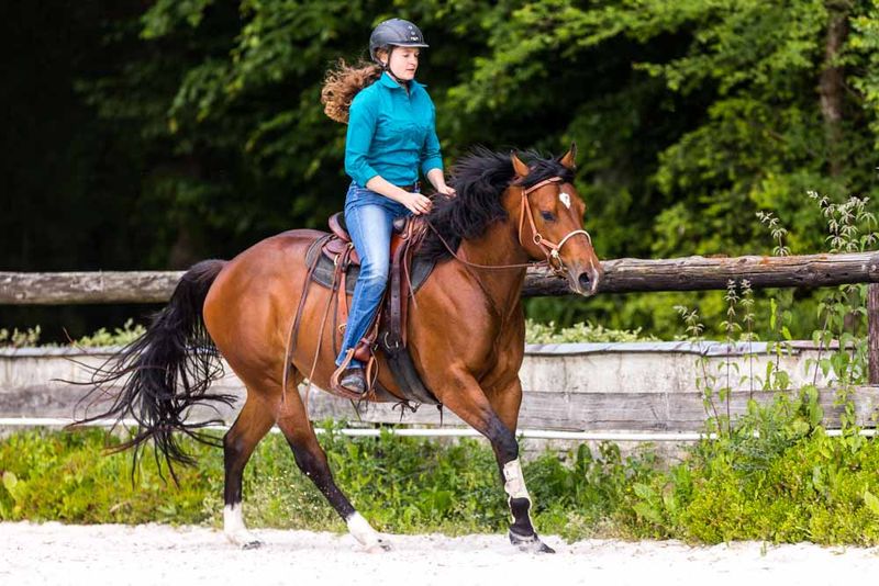 Prepare Your Horse Physically
