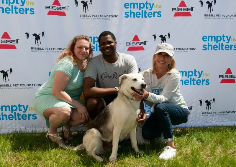 Preparing for Adoption Events