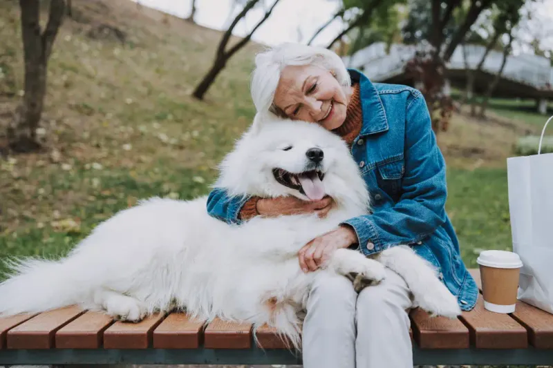 Pro: Loyal Companionship