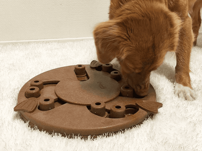 Problem-Solving Abilities
