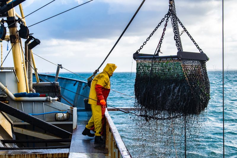 Promote Sustainable Fishing