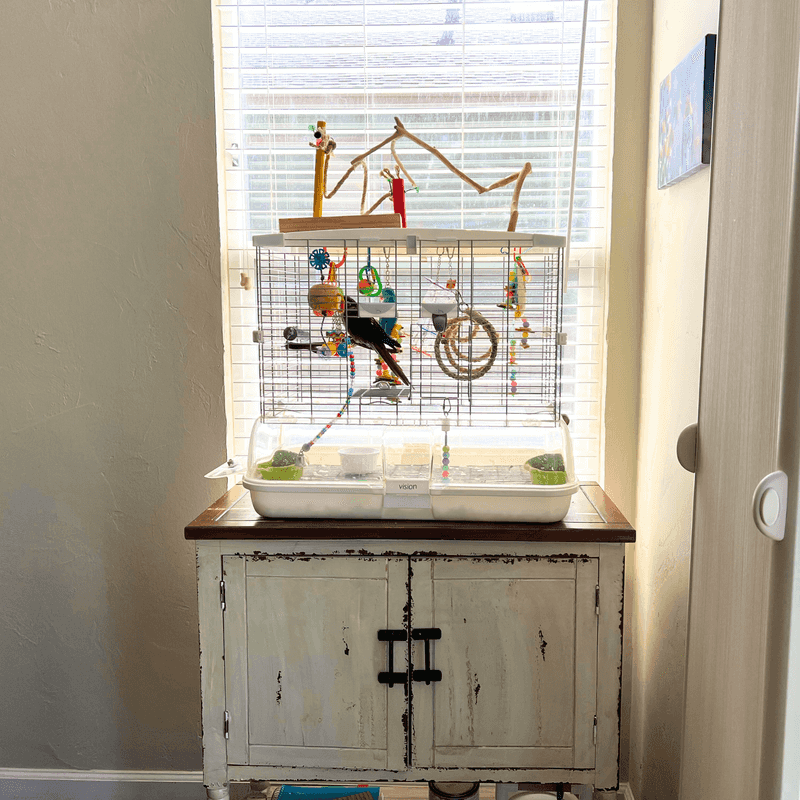 Proper Cage Placement