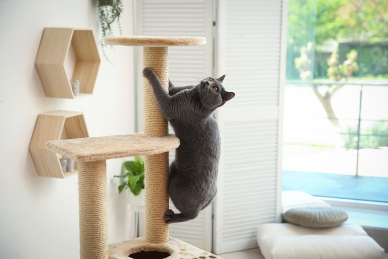 Provide Vertical Spaces