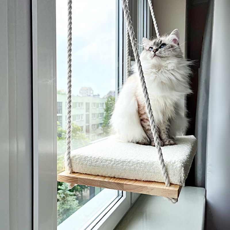 Providing Elevated Perches