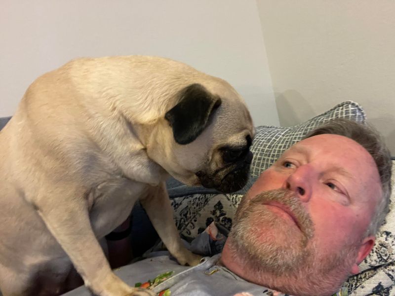 Pug