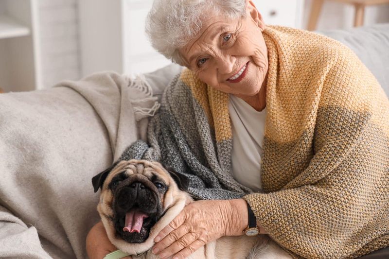 Pug