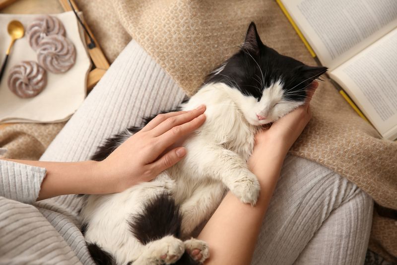 Purring