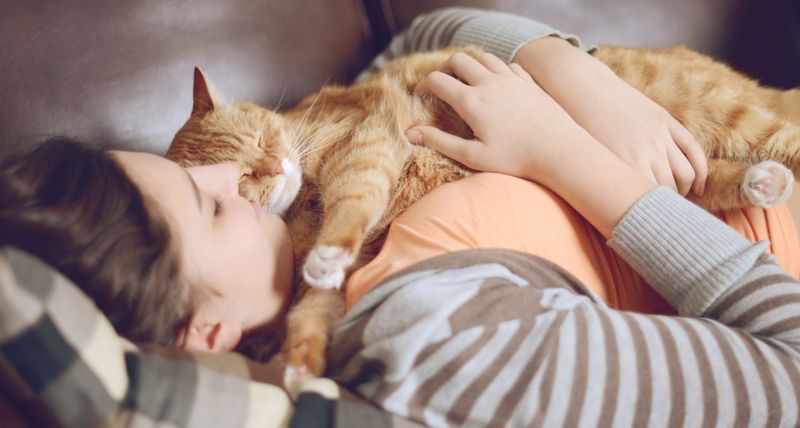 Purring Beside You