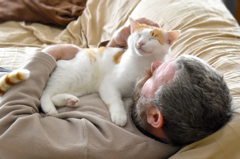 Purring Close to You