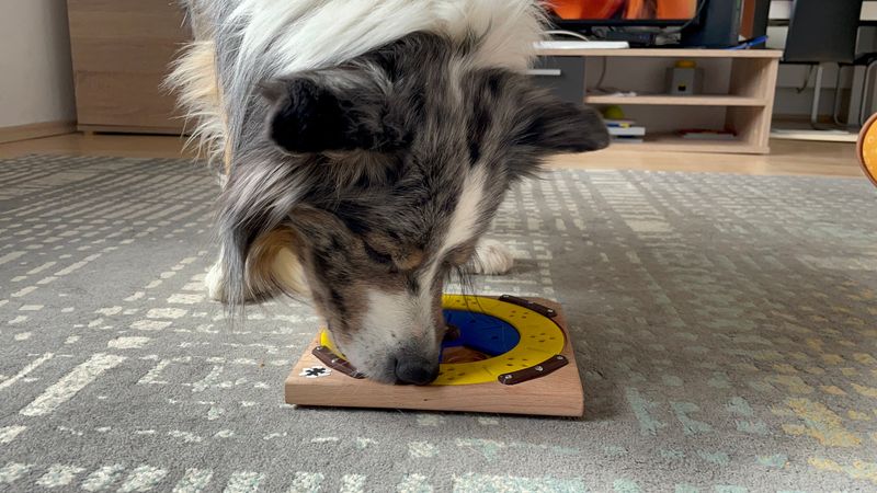 Puzzle Toys