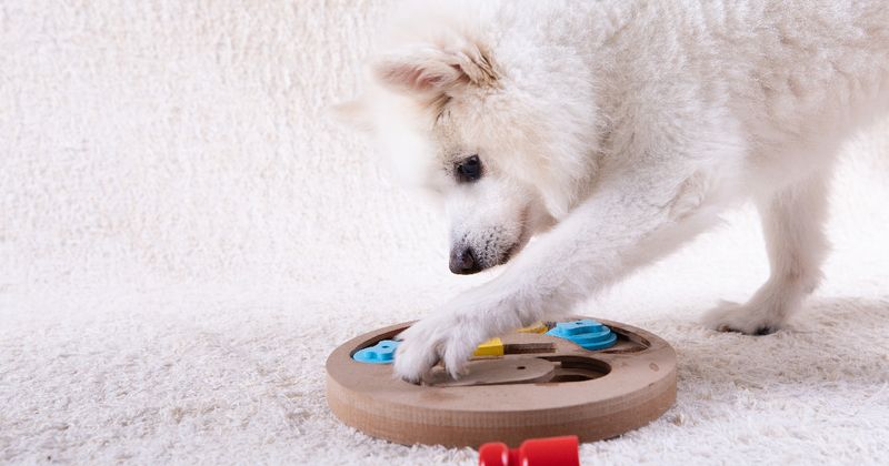 Puzzle Toys