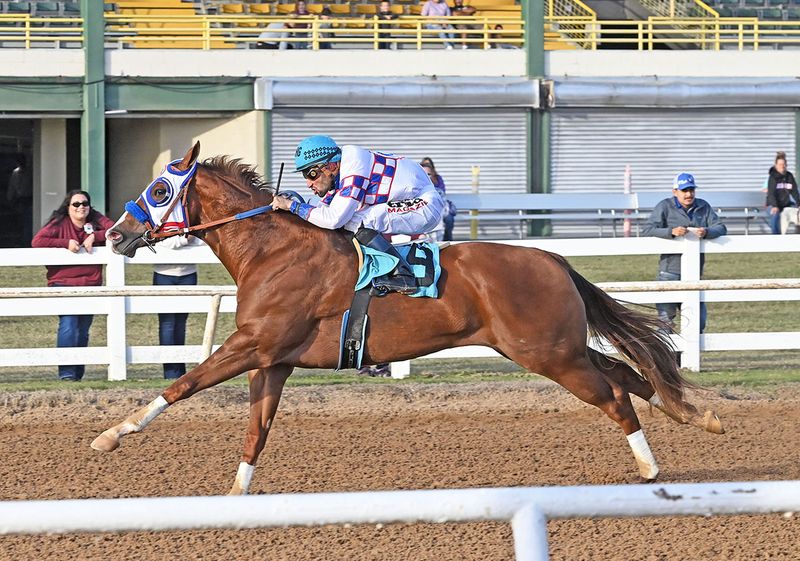 Quarter Horse
