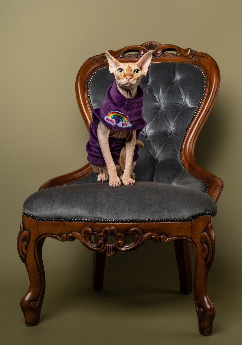 Queen Cleo