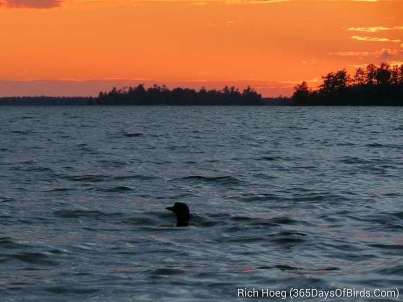 Rainy Lake, Minnesota