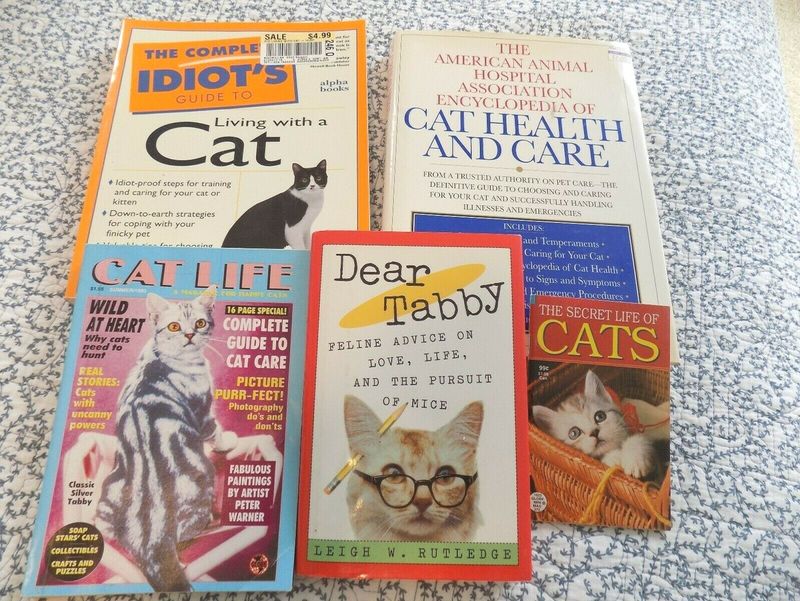 Reading Cat-Themed Books