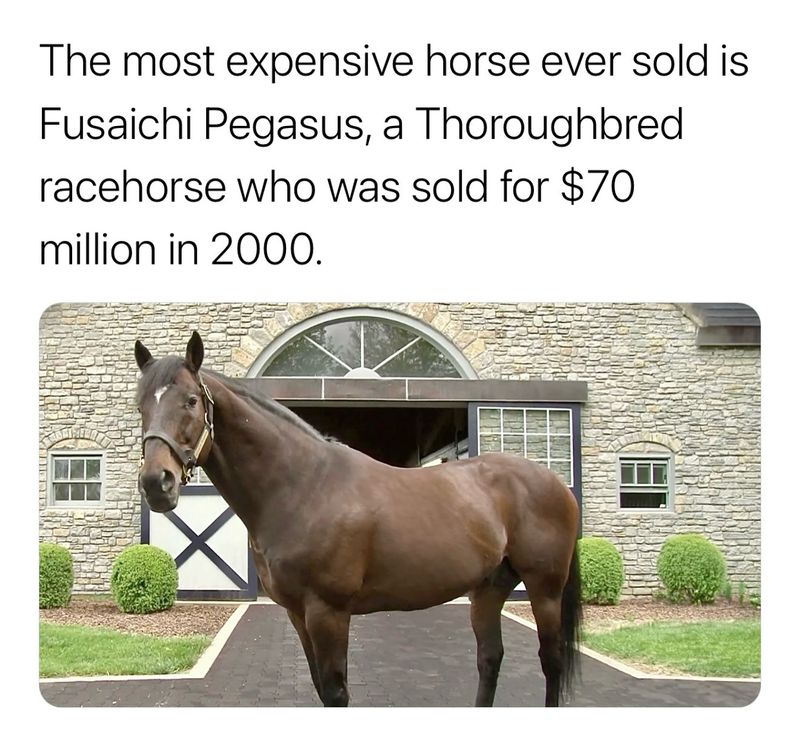 Record-Breaking Sale
