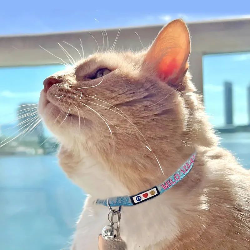 Reflective Collar