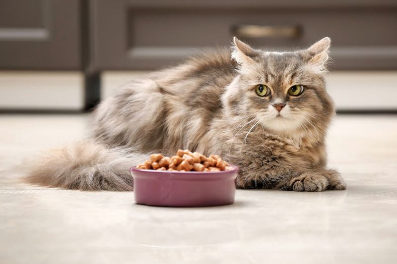Refusing to Eat