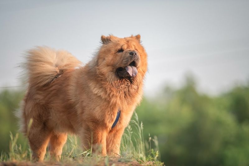 Regal Posture