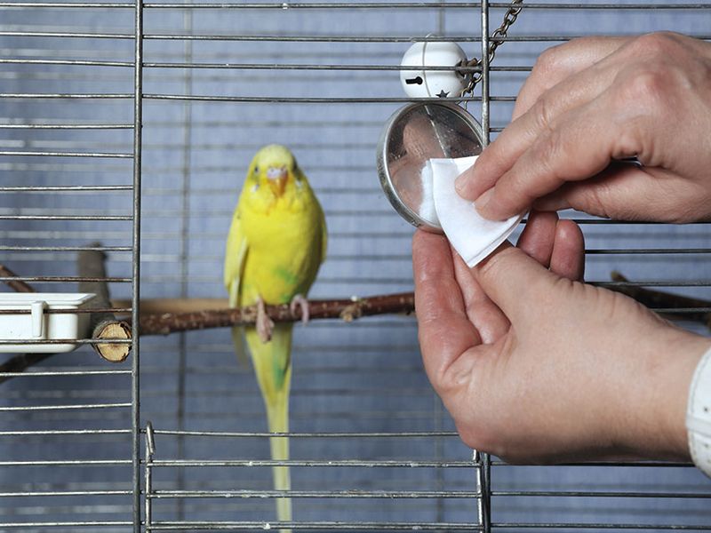 Regular Cleaning Routine