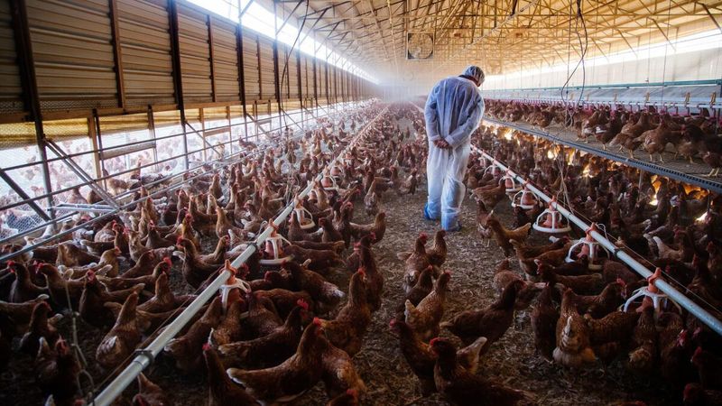 Regulatory Loopholes