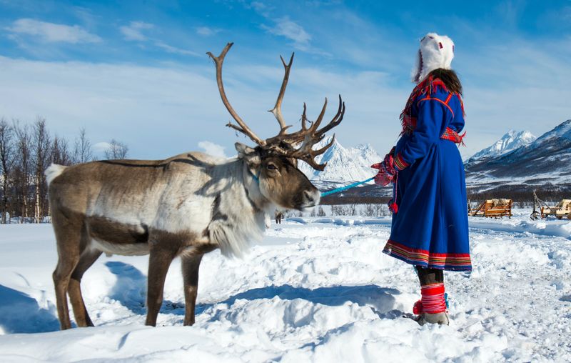 Reindeer's Role in Sami Culture